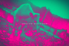 Your´re all fake [2-RV-Lr-lo-res]