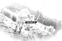 Just don't lie to me [3-bw]