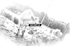 Just don't lie to me [3-bw]