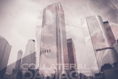 Collateral damage ıı