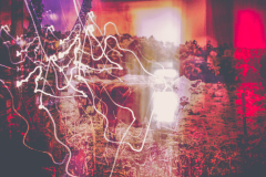 Fuck your electricity [3]
