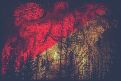 Wildfire. Tounge out. ıı
