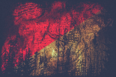 Wildfire. Tounge out. ıı