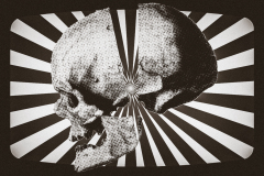 Splitted skull [bw]