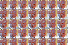 Many meat grinder faces [ıı]