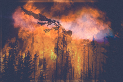 Wildfire fighting man [Climate crisis]