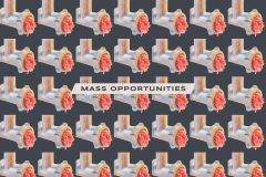 Mass opportunities ıı