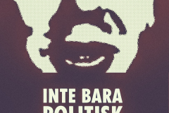 Inte bara politisk idiot onyttig också [2]