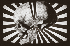 Splitted skull [bw]